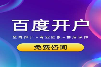 某知名企业竞价推广策略全解析